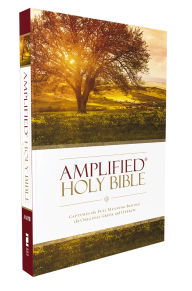 Title: Amplified Holy Bible, Paperback: Captures the Full Meaning Behind the Original Greek and Hebrew, Author: Zondervan