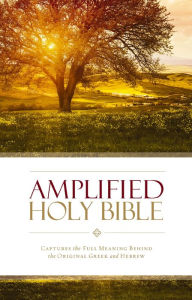Title: Amplified Holy Bible: Captures the Full Meaning Behind the Original Greek and Hebrew, Author: Zondervan