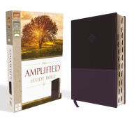 Title: The Amplified Study Bible, Leathersoft, Purple, Thumb Indexed, Author: Zondervan