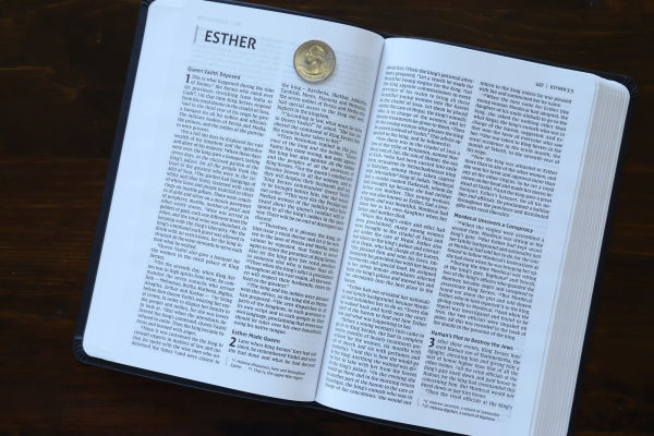 NIV, Value Thinline Bible, Leathersoft, Gray/Black, Comfort Print