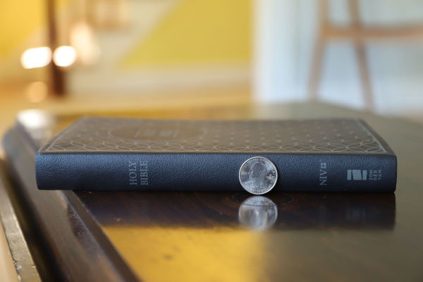 NIV, Value Thinline Bible, Leathersoft, Gray/Black, Comfort Print