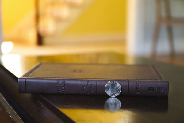 NIV, Value Thinline Bible, Leathersoft, Brown, Comfort Print