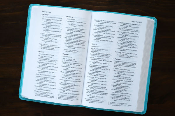 NIV, Value Thinline Bible, Leathersoft, Teal, Comfort Print