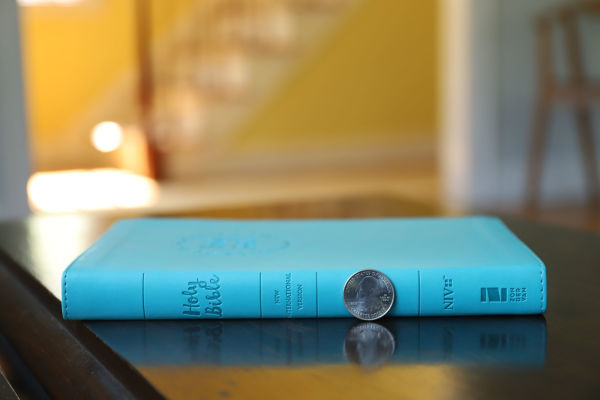 NIV, Value Thinline Bible, Leathersoft, Teal, Comfort Print