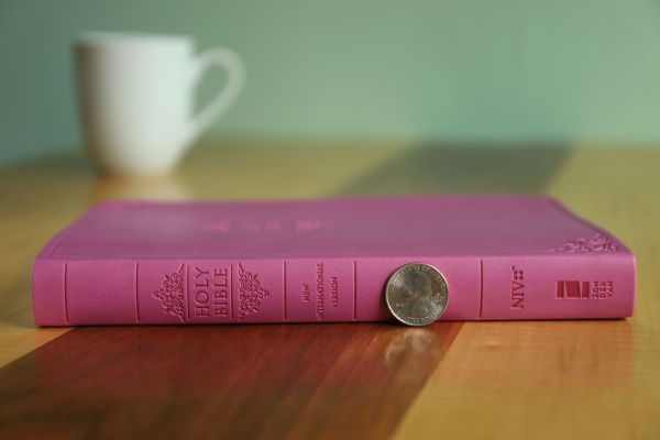 NIV, Value Thinline Bible, Leathersoft, Pink, Comfort Print