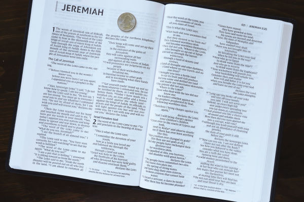 NIV, Value Thinline Bible, Large Print, Leathersoft, Gray/Black, Comfort Print