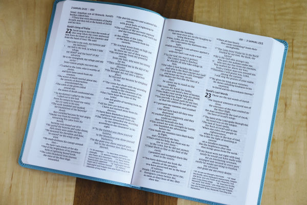 NIV, Value Thinline Bible, Large Print, Leathersoft, Teal, Comfort Print