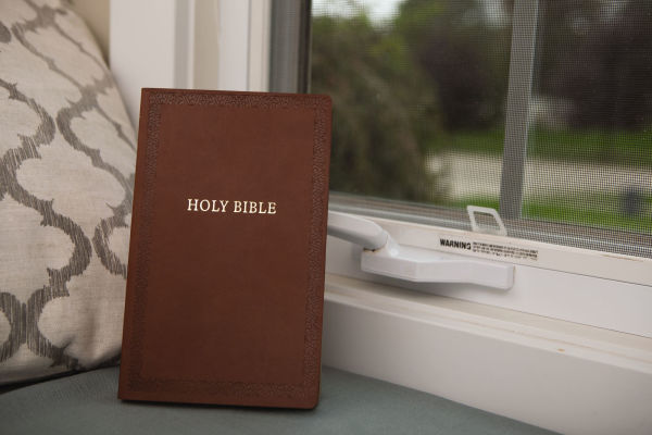 NIV, Holy Bible, Soft Touch Edition, Leathersoft, Brown, Comfort Print