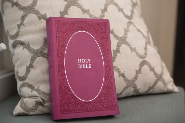 NIV, Holy Bible, Soft Touch Edition, Leathersoft, Pink, Comfort Print