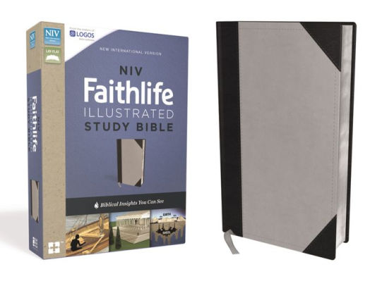 Niv Faithlife Illustrated Study Bible Imitation Leather Gray