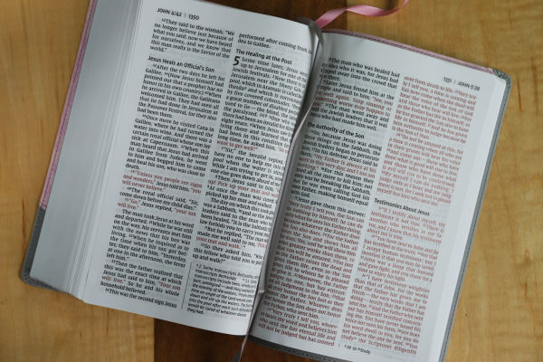 NIV, Personal Size Bible, Large Print, Leathersoft, Pink/Gray, Red Letter, Comfort Print