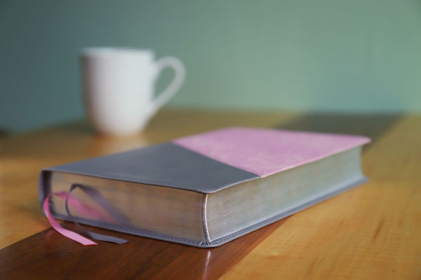 NIV, Personal Size Bible, Large Print, Leathersoft, Pink/Gray, Red Letter, Comfort Print