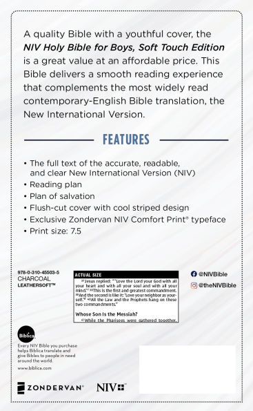 NIV, Holy Bible for Boys, Soft Touch Edition, Leathersoft, Gray, Comfort Print