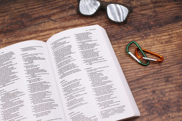 NIV, Holy Bible for Boys, Soft Touch Edition, Leathersoft, Gray, Comfort Print