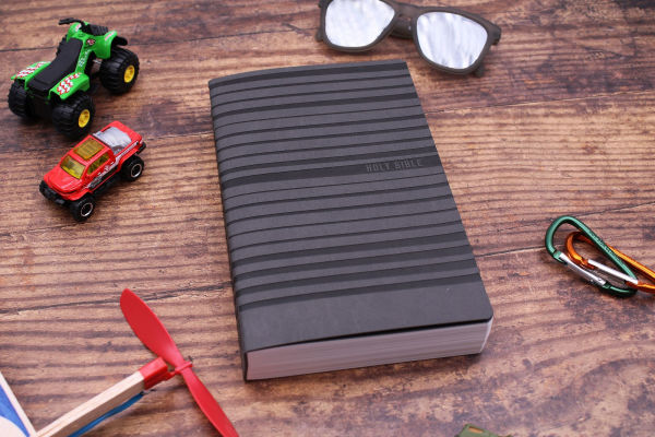 NIV, Holy Bible for Boys, Soft Touch Edition, Leathersoft, Gray, Comfort Print