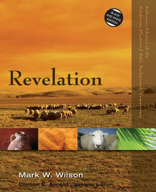 Revelation by Mark W. Wilson, Paperback | Barnes & Noble®