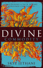 The Divine Commodity: Discovering a Faith Beyond Consumer Christianity