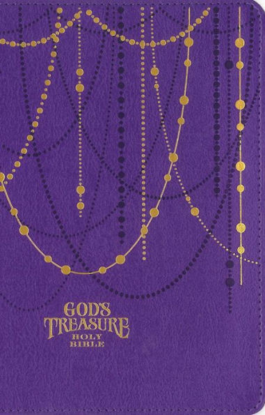 NIV God's Treasure Holy Bible, Imitation Leather, Amethyst: Golden promises and priceless stories