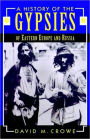 A History of the Gypsies of Eastern Europe and Russia / Edition 1