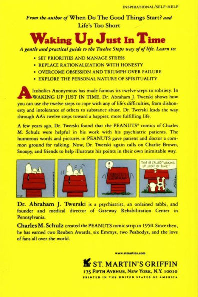 Waking up Just in Time: A Therapist Shows How to Use the Twelve Steps Approach to Life's Ups and Downs