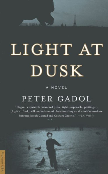 Light at Dusk: A Novel