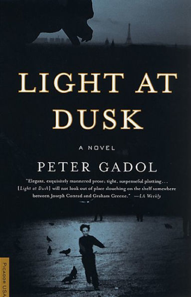 Light at Dusk: A Novel