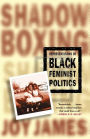 Shadowboxing: Representations of Black Feminist Politics