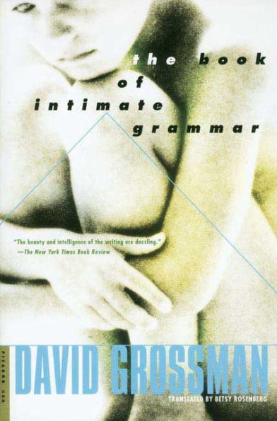 The Book of Intimate Grammar: A Novel