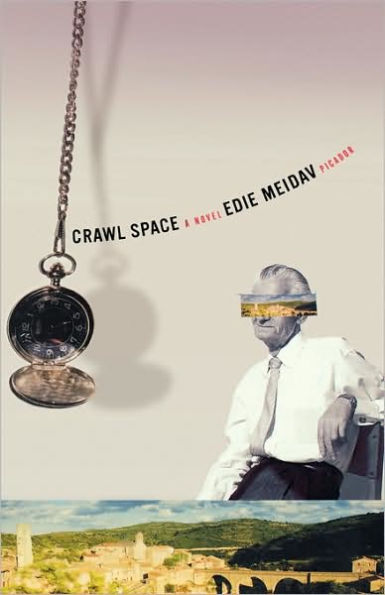 Crawl Space: A Novel