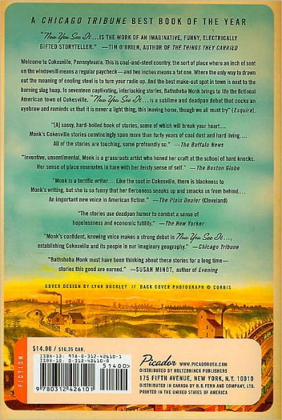 Now You See It . . .: Stories from Cokesville, PA