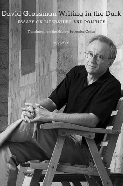 Writing the Dark: Essays on Literature and Politics