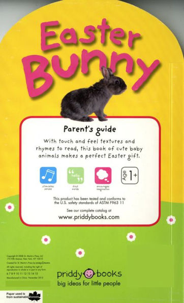 Easter Bunny (Baby Touch and Feel Series)