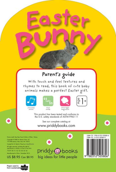 Easter Bunny (Baby Touch and Feel Series)