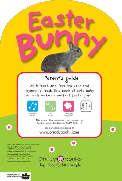 Easter Bunny (Baby Touch and Feel Series)