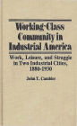 Working-Class Community in Industrial America: Work, Leisure, and Struggle in Two Industrial Cities, 1880$1930