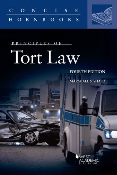 Principles of Tort Law / Edition 4
