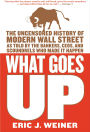 What Goes Up: The Uncensored History of Modern Wall Street as Told by the Bankers, Brokers, CEOs, and Scoundrels Who Made It Happen