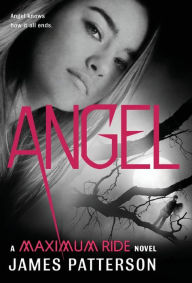 Angel (Maximum Ride Series #7)