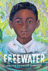 Title: Freewater, Author: Amina Luqman-Dawson