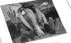 Alternative view 2 of Ansel Adams: 400 Photographs