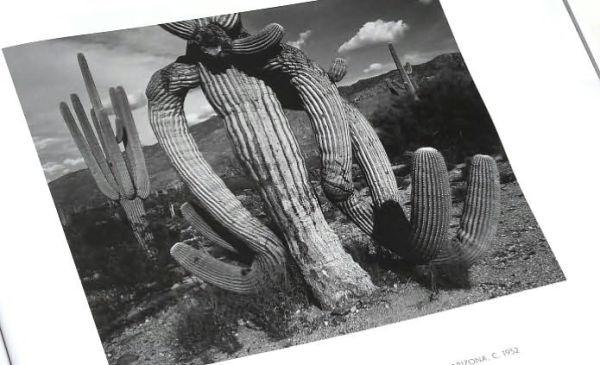 Ansel Adams: 400 Photographs