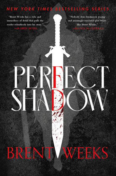 Perfect Shadow: A Night Angel Novella