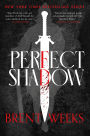 Perfect Shadow: A Night Angel Novella