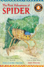 The First Adventures of Spider: West African Folktales