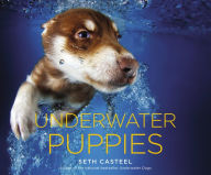 Title: Underwater Puppies, Author: Seth Casteel