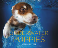 Title: Underwater Puppies, Author: Seth Casteel