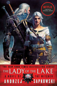 Download ebook pdfs free The Lady of the Lake by Andrzej Sapkowski, David French, Andrzej Sapkowski, David French 9780316457132 RTF PDB