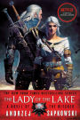 The Lady of the Lake (Witcher Series #5)