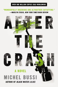Title: After the Crash, Author: Michel Bussi