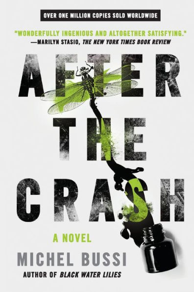 After the Crash: A Novel